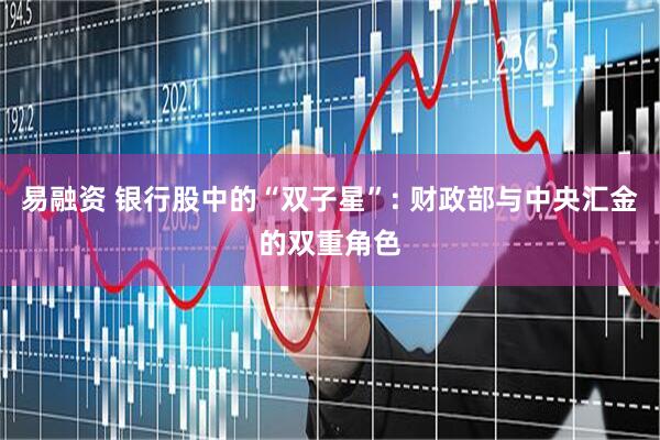 易融资 银行股中的“双子星”: 财政部与中央汇金的双重角色