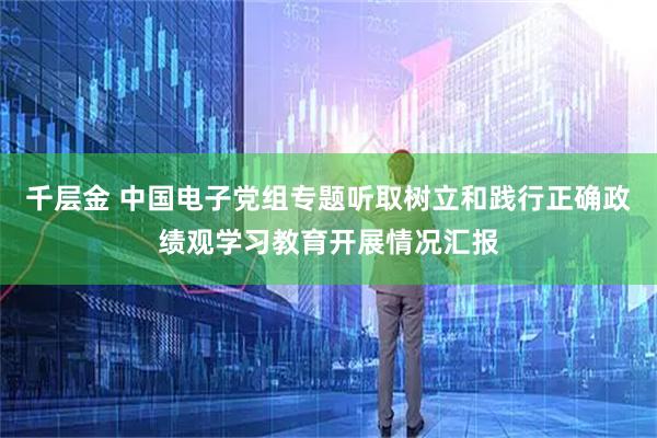 千层金 中国电子党组专题听取树立和践行正确政绩观学习教育开展情况汇报